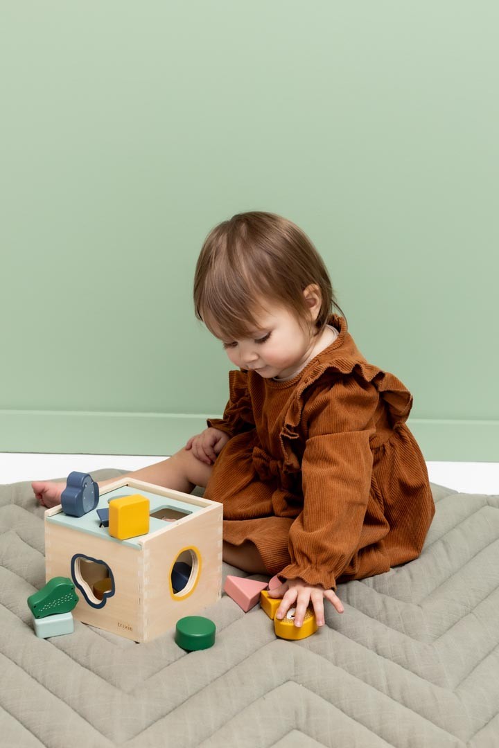 Wooden Shape Sorter